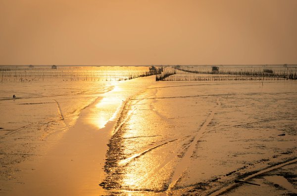 Tourisme Gastronomique